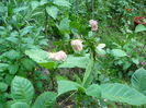 P1040157