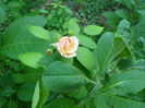 P1040158