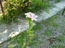P1040163