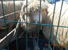 Picture 010