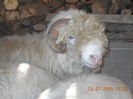 Picture 038