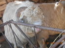Picture 041