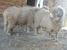 Picture 044