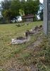 SAM_7593
