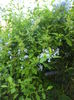 DSC04539