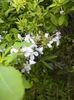 DSC04540
