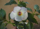 DSCF4180