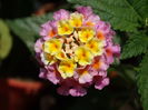 DSC02665