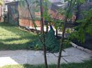 20150708_104158
