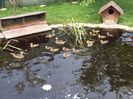 20150621_142142