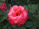 DSCF1558