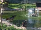 20150520_162834