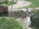 20150617_110120