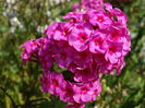 DSC02946