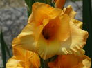 DSC02897
