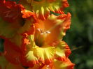 DSC02857