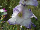 DSC02909