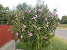 DSCN2958