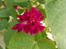 DSCN2951