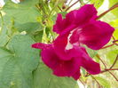 DSCN2949