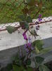 DSCN2944