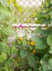 DSCN2941