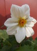 DSCN2940