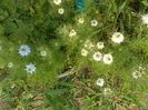 DSCN2935