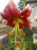 DSCN2921