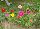 DSCN2890