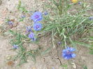 DSCN2882