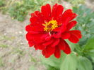 DSCN2878