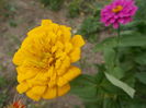 DSCN2877