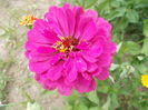DSCN2876