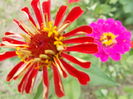 DSCN2875