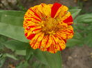 DSCN2874