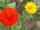 DSCN2873