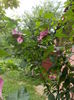 DSCN2869