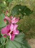 DSCN2844
