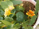 DSCN2811