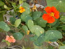 DSCN2810