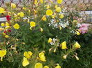 DSCN2568