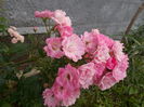 DSCN2543