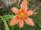 DSCN2535