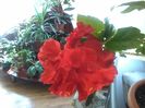 20150727_102827