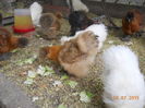 DSCN5677