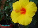 PICT2141