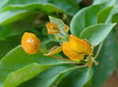 DSC02960
