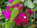 DSC02957
