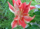 SAM_7860